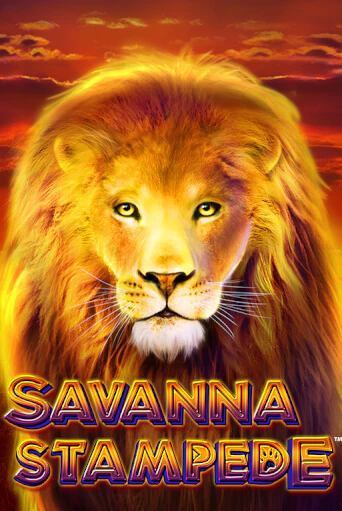 Попробуй Savanna Stampede в демо бесплатно онлайн | Azino777